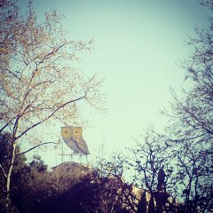 Spring is here! Let's make whoopee..... or something similar.