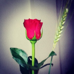 From a lovely student